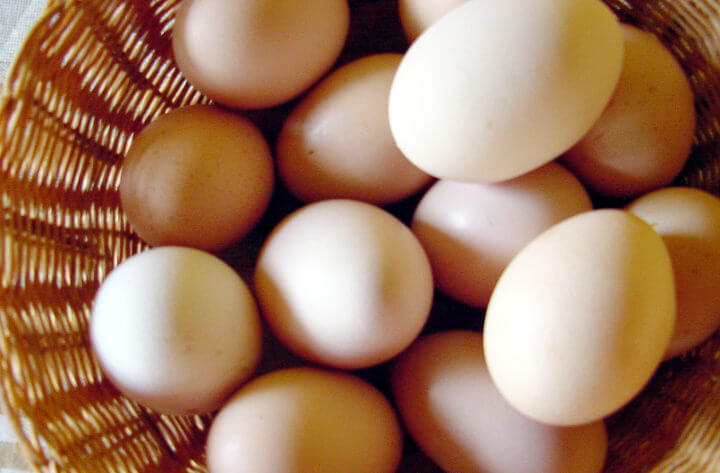 Análise | A crise dos ovos do Santa Cruz, entre o pitoresco e a política interna