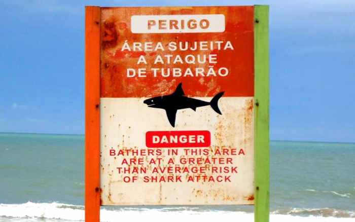 Placa de aviso de tubarão em BV